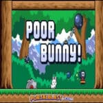 Poor Bunny